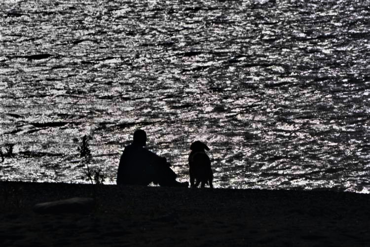 man and dog at lake